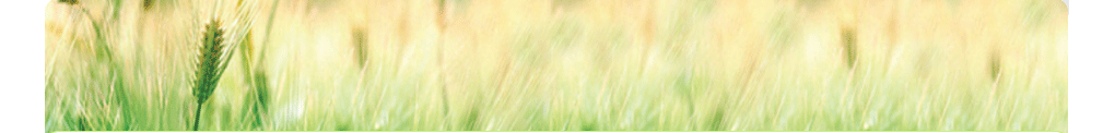 04_banner